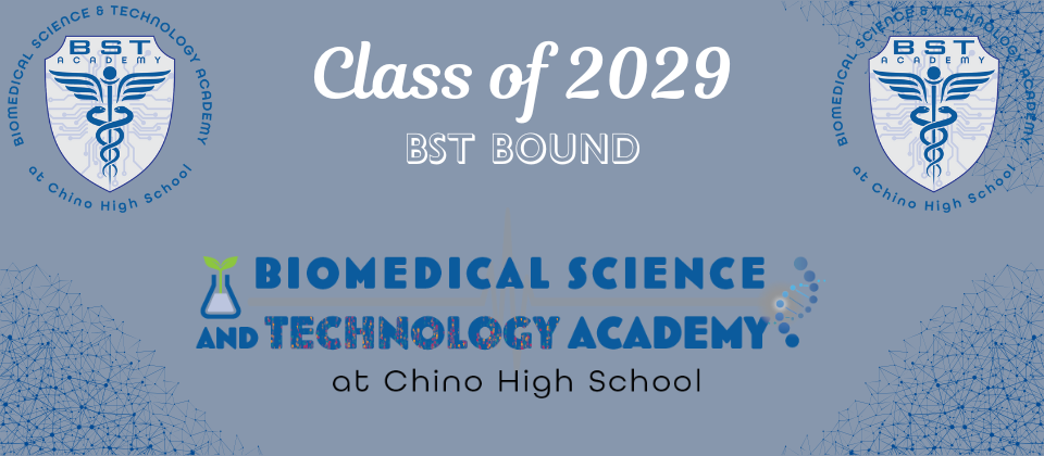 BST Bound Banner